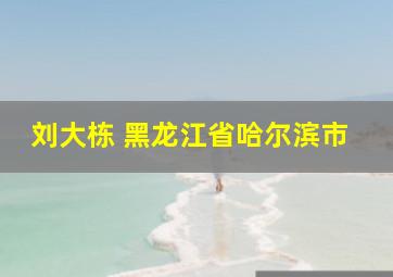 刘大栋 黑龙江省哈尔滨市